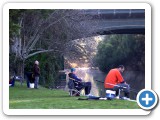  The Torrens Classic is a carp fishing competition held in the city limits. 